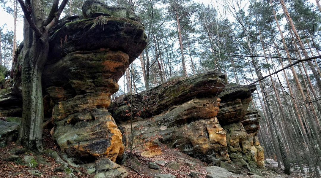 Piekło pod Niekłaniem formy skalne w lesie, rezerwat przyrody.