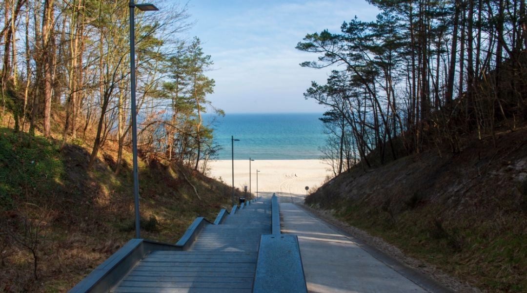Drewniane schody prowadzące przez nadmorski las na plażę w Jastrzębiej Górze z widokiem na turkusowe morze.