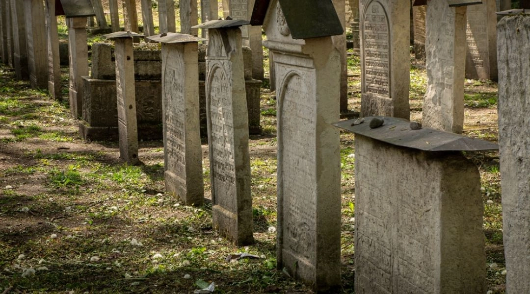 Warszawa, Cmentarz Żydowski na Okopowej, rzędy macew z kamieniami położonymi na wierzchu