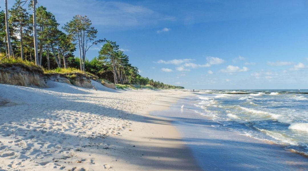 Szeroka, pusta plaża w Ustce z jasnym piaskiem, sosnowym lasem na klifie i falami Bałtyku w słoneczny dzień.