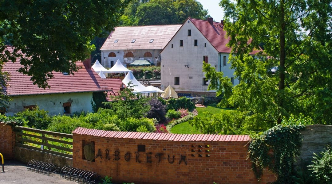Arboretum w Wojsławicach