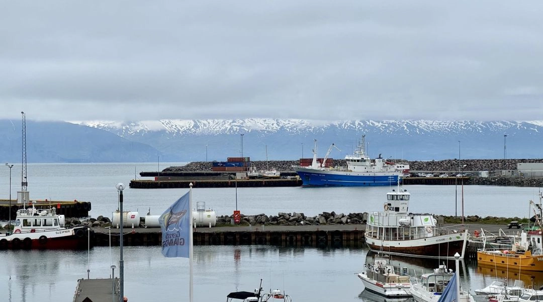 Port w Húsavíku na Islandii z łodziami i ośnieżonymi górami w tle.