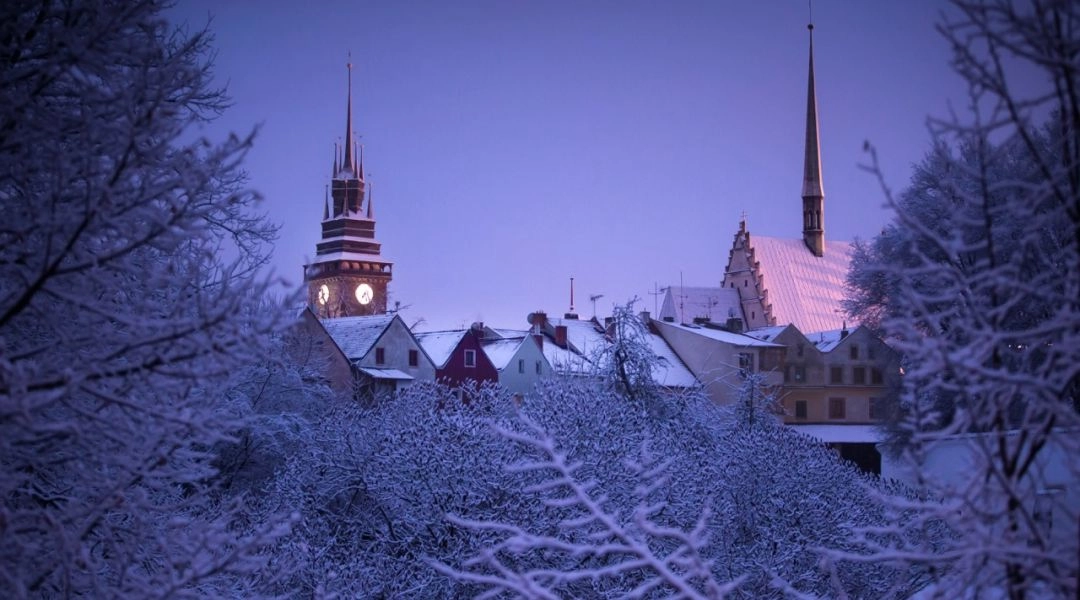 Zasypane śniegiem dachy i wieże Pardubic otoczone zimowymi drzewami w fioletowym świetle wieczoru.