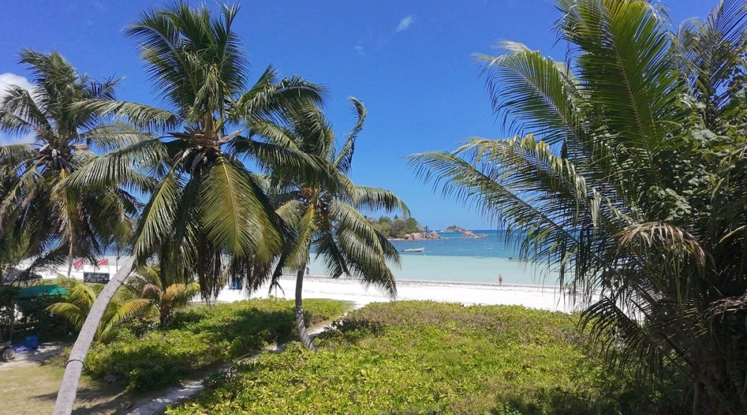 Widok z pokoju na Praslin na palmy, tropikalną roślinność, jasną plażę i turkusowy ocean.