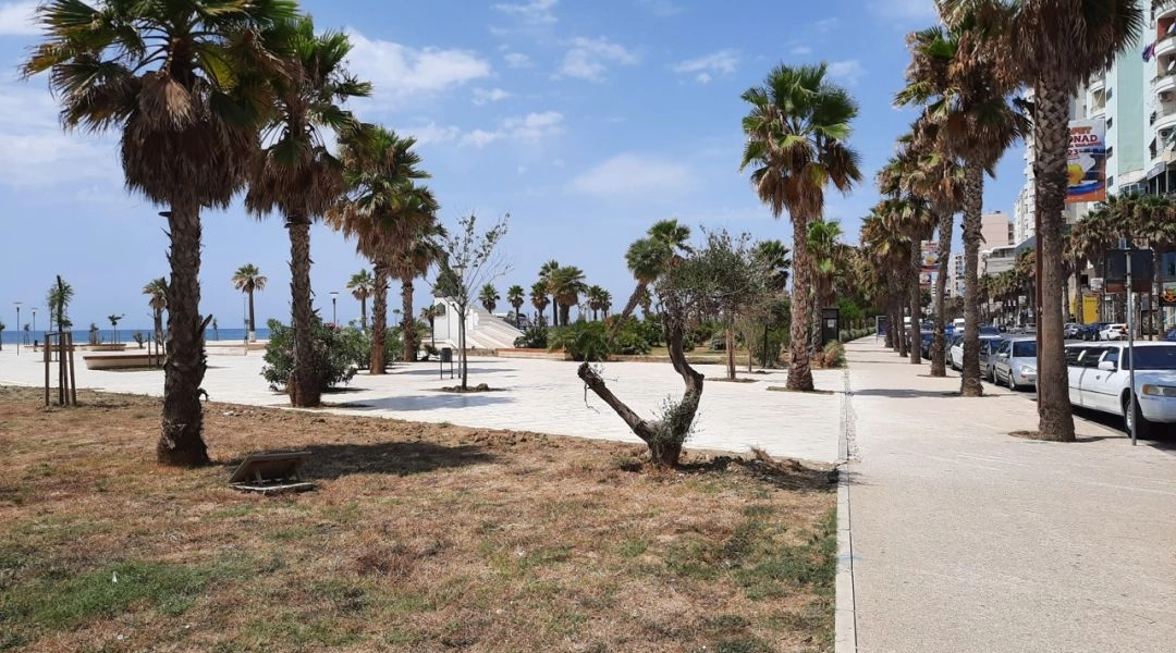 Nadmorska promenada w Albanii z palmami, nową zabudową hotelową i szerokim chodnikiem przy plaży.