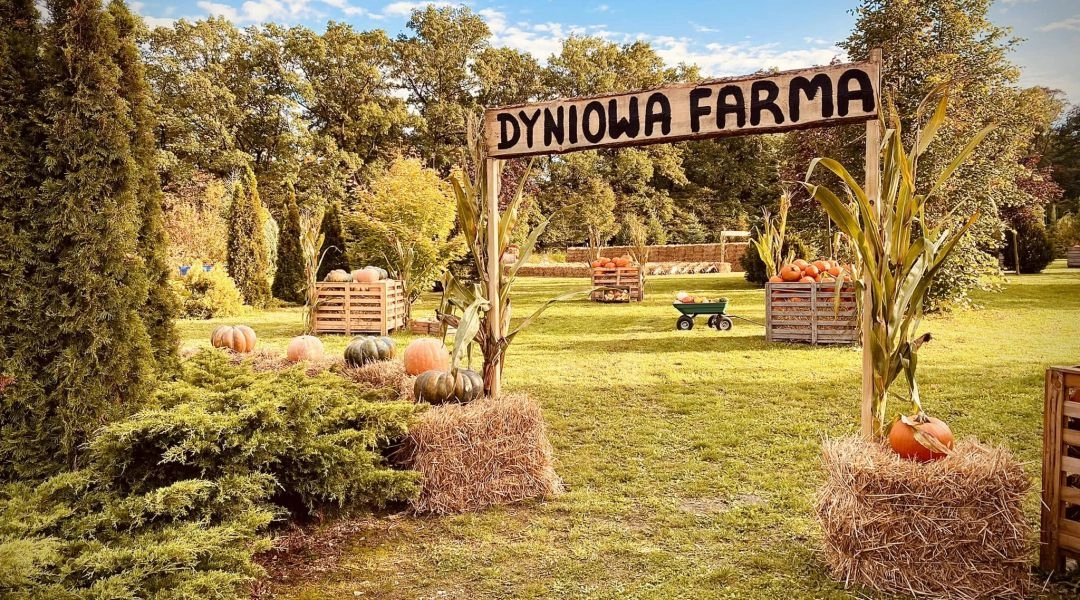 Drewniana brama z napisem „Dyniowa Farma”, bele słomy, skrzynie z dyniami i jesienne dekoracje ustawione na trawniku.