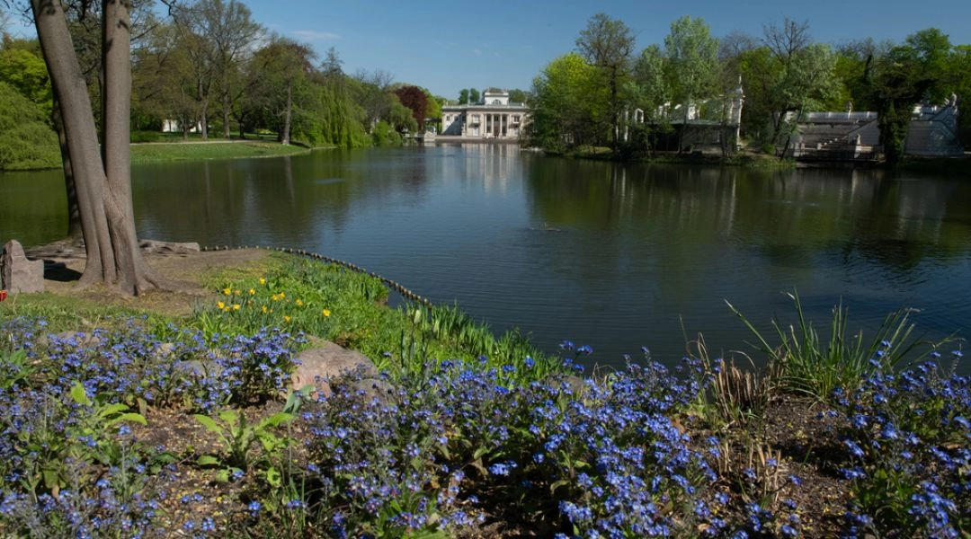 Staw i wiosenne rabaty w Łazienkach Królewskich w Warszawie