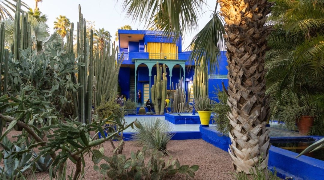 Intensywnie niebieska willa i ogród kaktusów w Jardin Majorelle w Marrakeszu