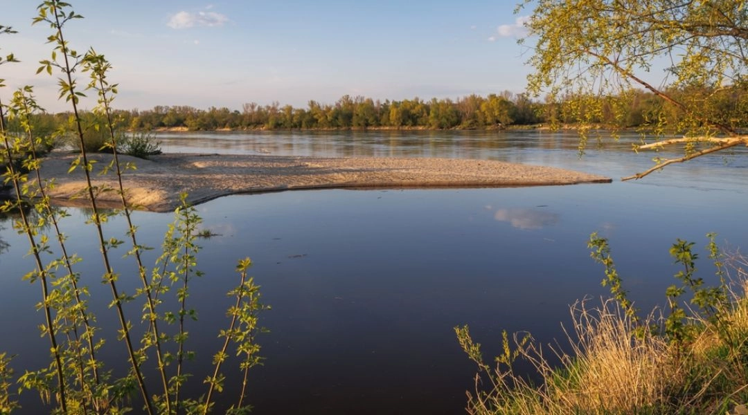 Rezerwat Wyspy Zawadowskie nad Wisłą pod Warszawą widok na rzekę z piaszczystą łachą