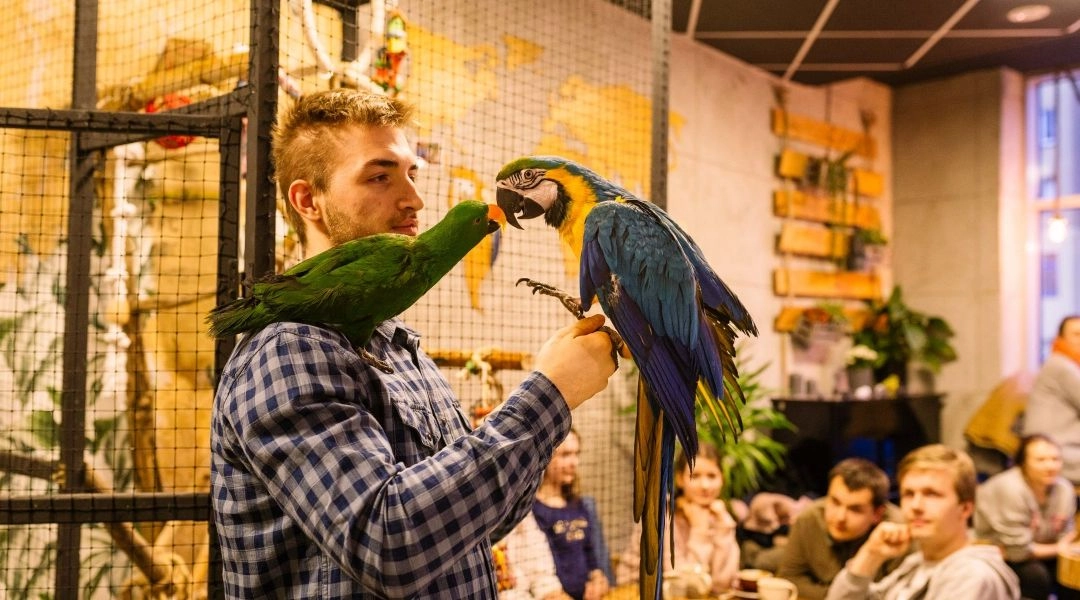 kawiarnia wrocław Parrot Coffee wnętrze