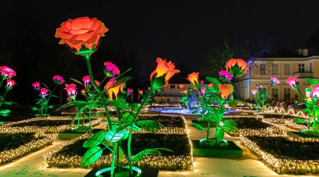 Iluminacje w Królewskim Ogrodzie Świateł w Wilanowie zimą i podświetlone kwiaty LED w ogrodach Pałacu w Wilanowie nocą.