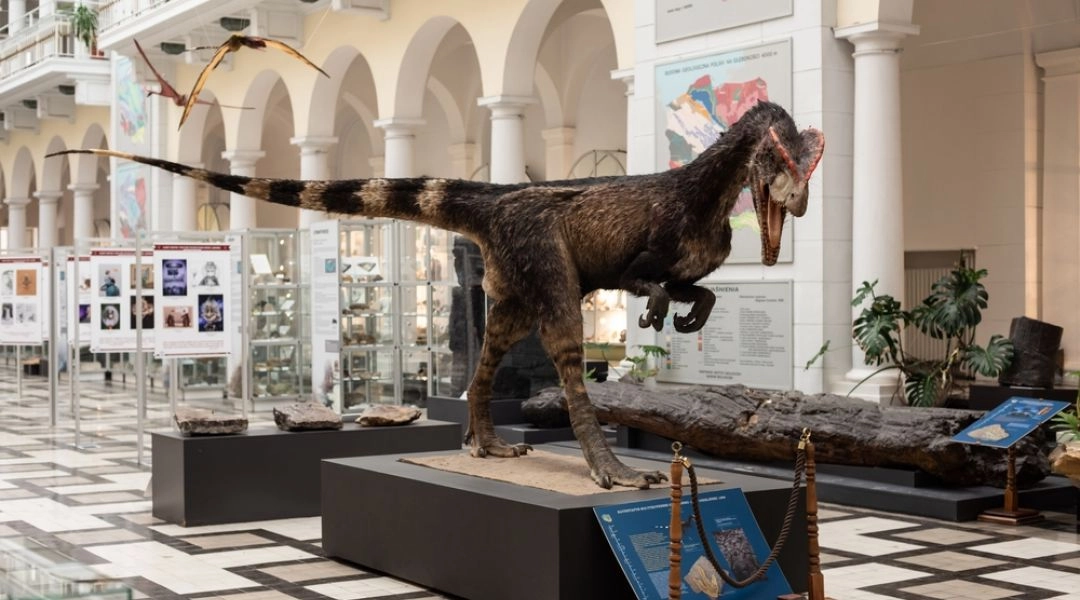 Muzeum Ewolucji w Warszawie