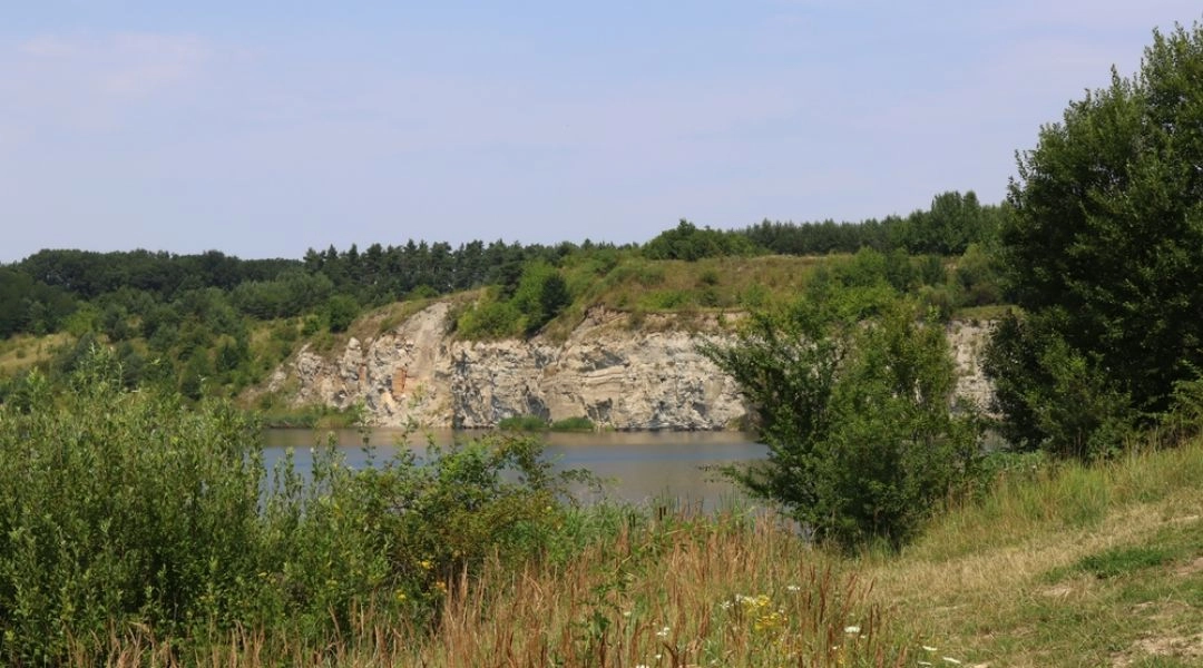 Rezerwat Przyrody Przęślin