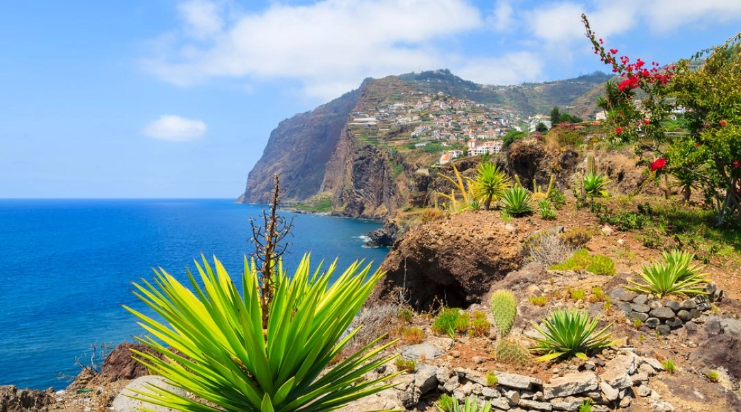 Skaliste wybrzeże Madery nad Atlantykiem, stromy klif z zabudową na zboczu oraz agawy i egzotyczna roślinność na pierwszym planie