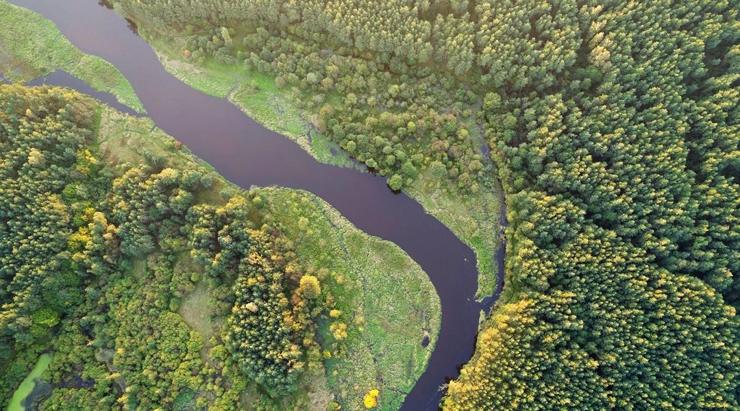 lot balonem nad biebrzą