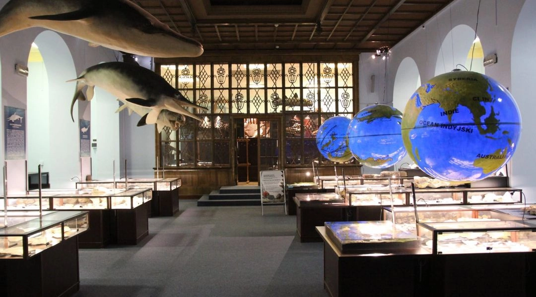 Sala Muzeum Ewolucji w Warszawie z podwieszonymi modelami zwierząt morskich, podświetlanymi globusami i gablotami ze skamieniałościami.