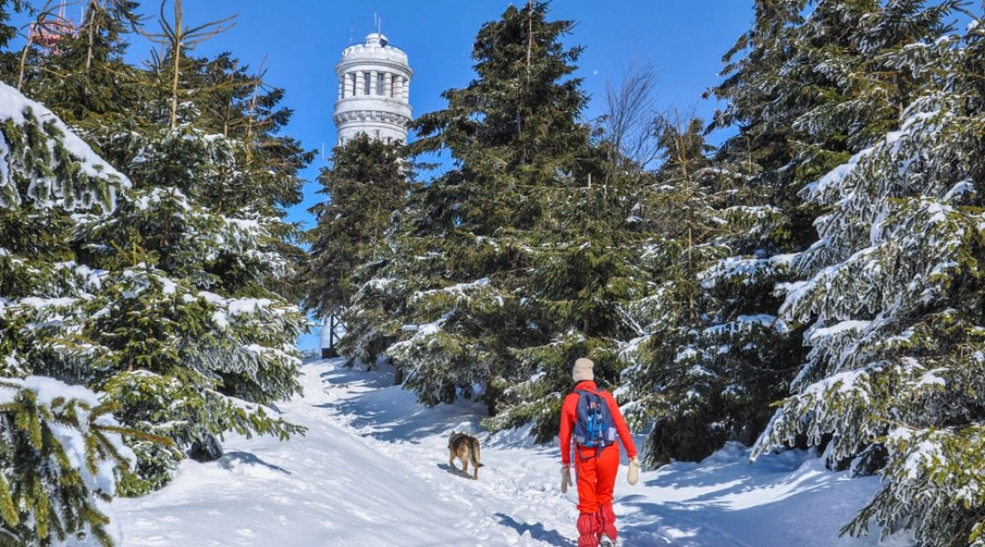Zimowy szlak na Wielką Sowę z wieżą widokową w tle.