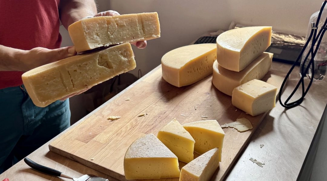 Dojrzewające sery z Farmy Hiadlovských ułożone na drewnianym stole podczas prezentacji produktów.