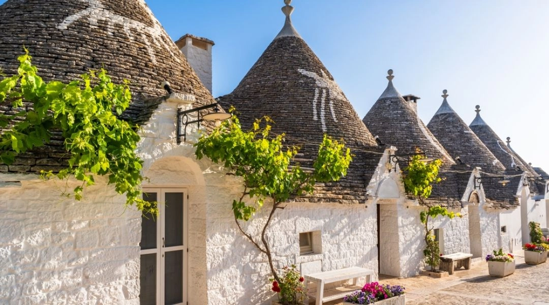 Rząd białych domów trulli ze stożkowymi dachami z szarego kamienia, winoroślą i donicami z kwiatami w Alberobello.