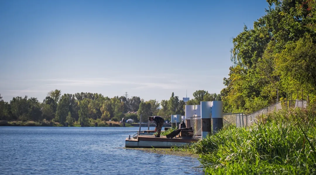 Kanał Żerański w Parku Żerańskim, nabrzeże, woda i zieleń nad kanałem.