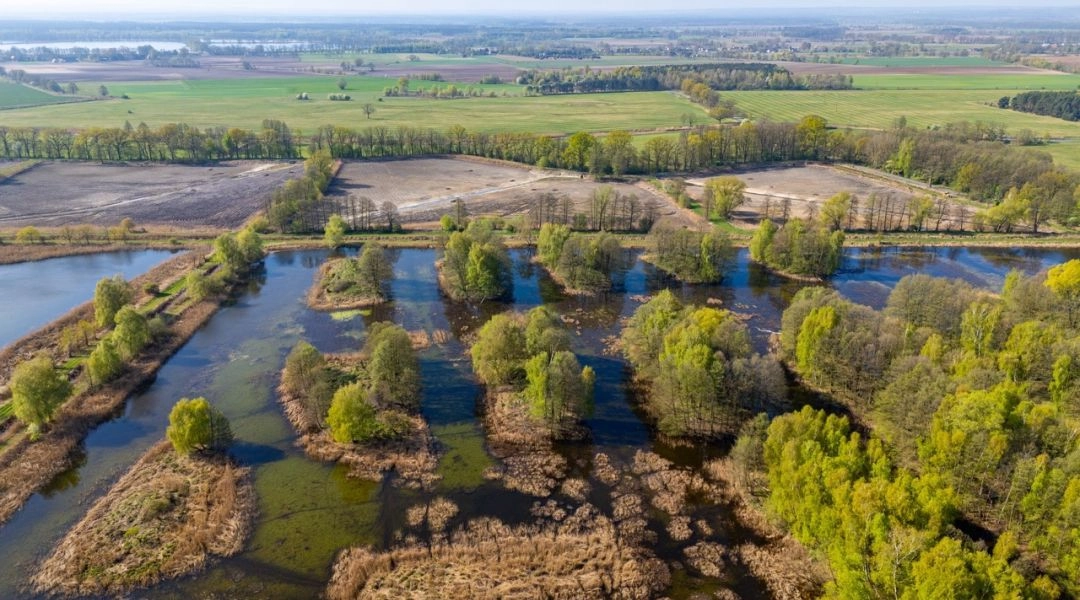 Rozlewiska i stawy Doliny Baryczy widziane z góry, otoczone polami, lasami i zielenią.