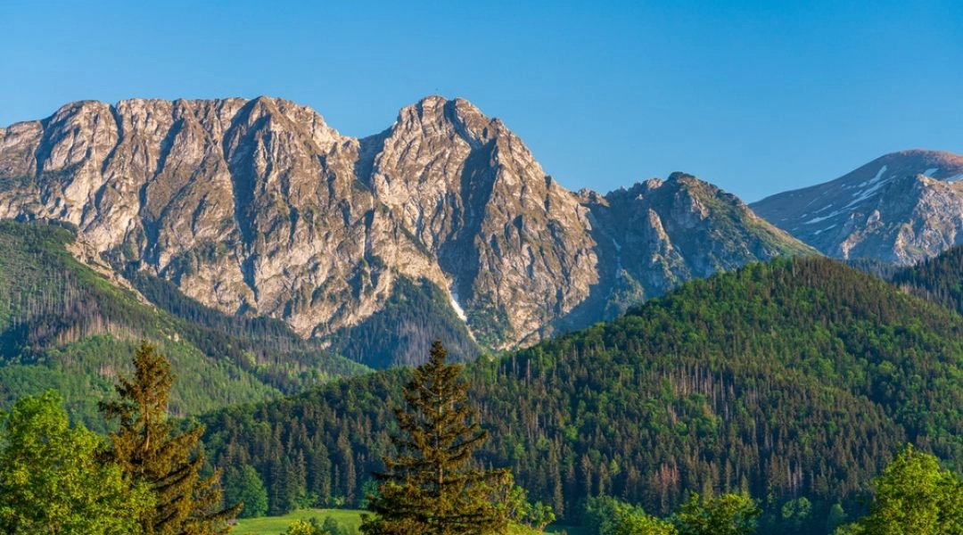 Masyw Giewontu widziany ponad lasami i zielonymi polanami w okolicach Zakopanego.