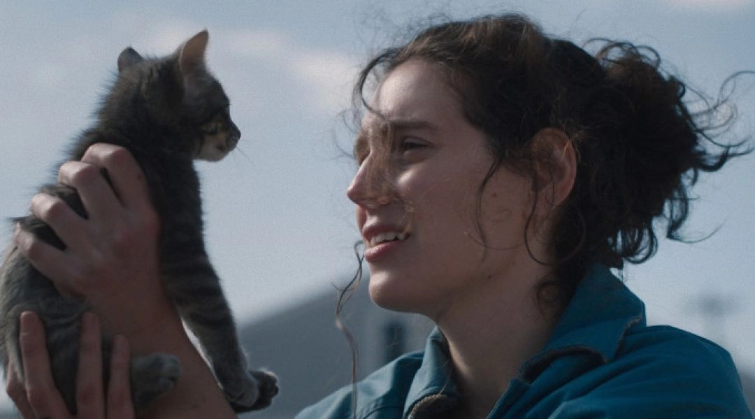 Kadr z filmu Sorry baby