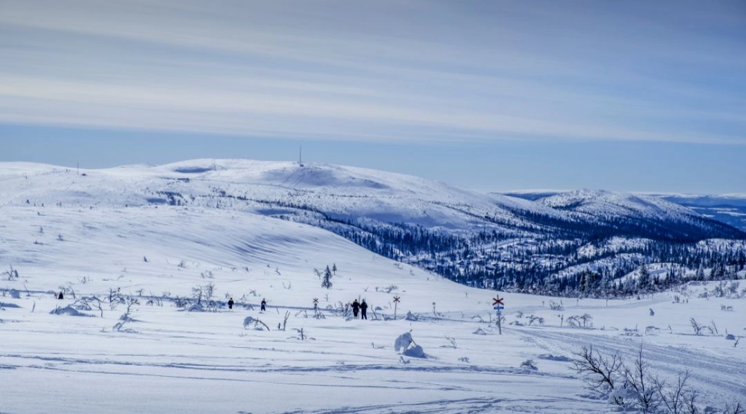 Narciarze biegowi na trasie w ośrodku Vemdalen w Szwecji, otoczeni zimowym krajobrazem górskim.