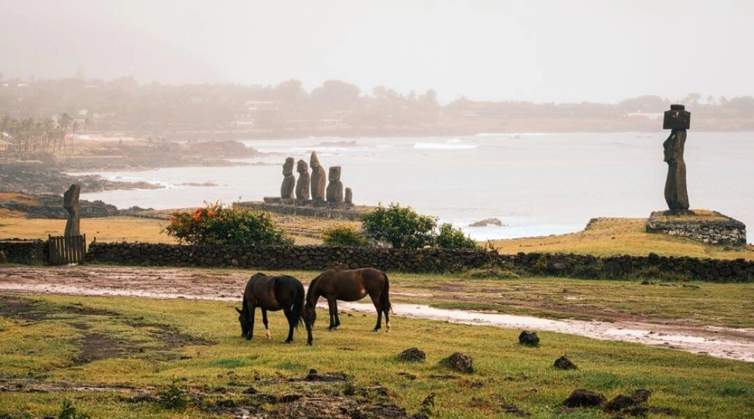 Moai na Wyspie Wielkanocnej i konie pasące się na łące przy oceanie