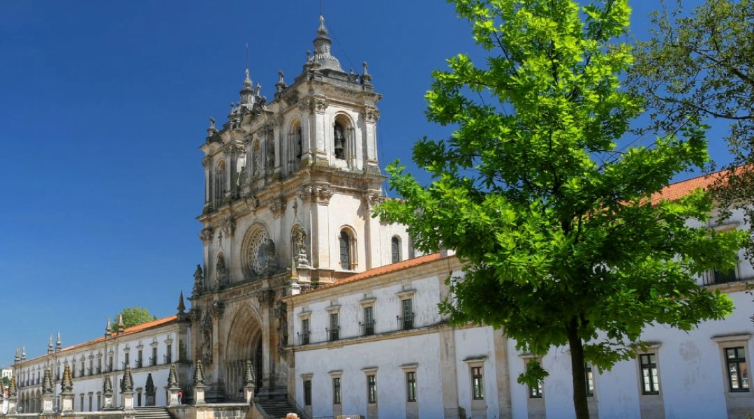 Klasztor cystersów w Alcobaça w Portugalii z monumentalną fasadą, białymi murami i zielonym drzewem na pierwszym planie.
