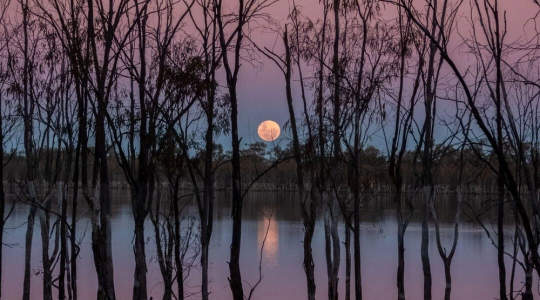 Truskawkowy księżyc nad jeziorem