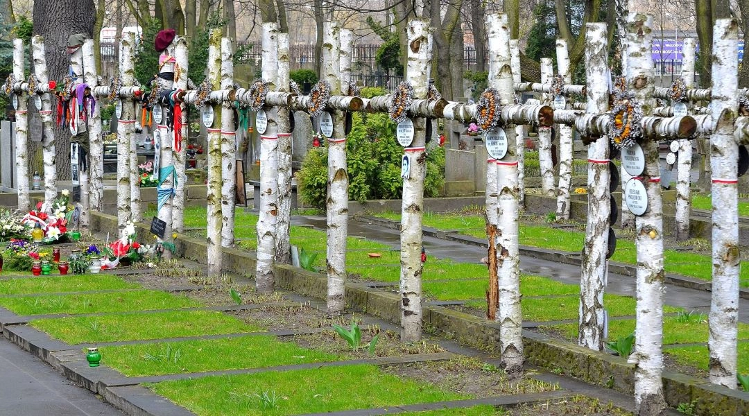 Rzędy brzozowych krzyży z tabliczkami i wieńcami w kwaterze batalionu „Zośka” na Cmentarzu Wojskowym na Powązkach w Warszawie.