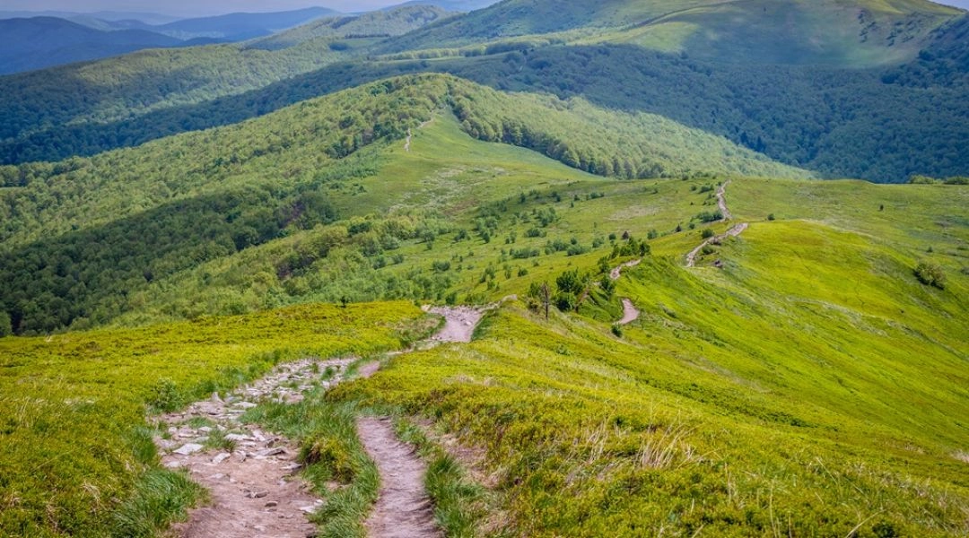 Połonina Wetlińska Bieszczady
