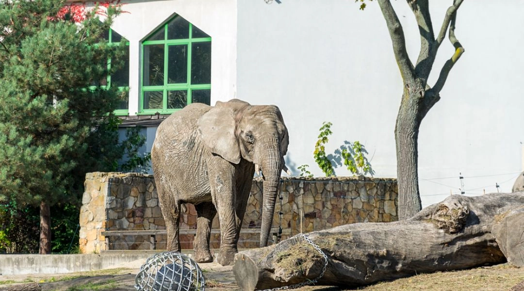 Zoo w Warszawie
