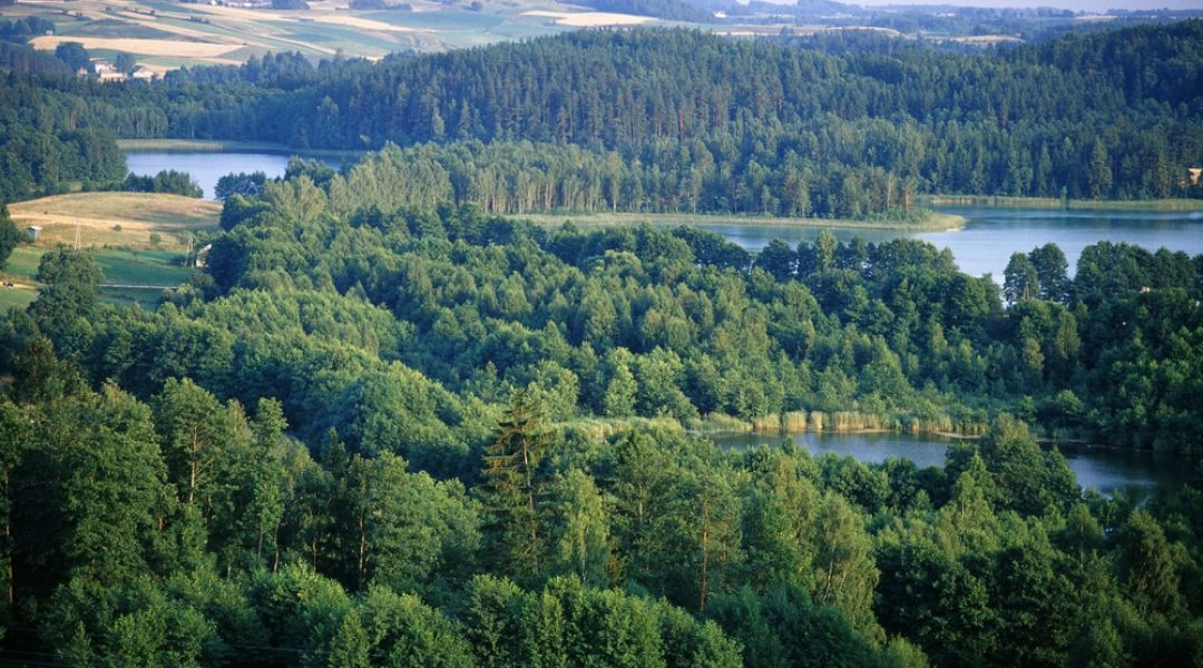 Krajobraz Suwalszczyzny w okolicach Smolnik z jeziorami, wzgórzami i lasami