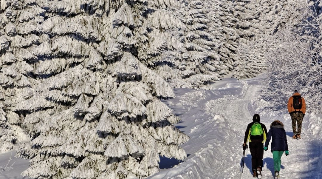 Zimowa trasa na Turbacz w Gorcach, turyści na ośnieżonym szlaku