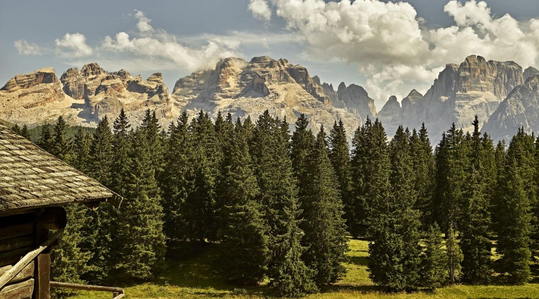 Drewniana chata na alpejskiej łące w Trentino, za lasem widać skaliste szczyty Dolomitów.