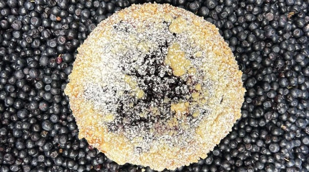 Jagodzianki z Bakery Elektrownia Powiśle