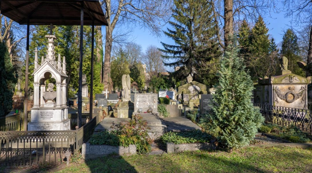 Warszawa, Cmentarz Ewangelicko-Augsburski i rzeźbione nagrobki i neogotycki grobowiec wśród drzew