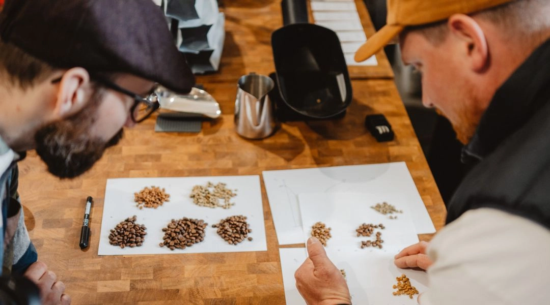 Uczestnicy Coffee Tour w Bańskiej Bystrzycy porównują i selekcjonują różne rodzaje ziaren kawy.