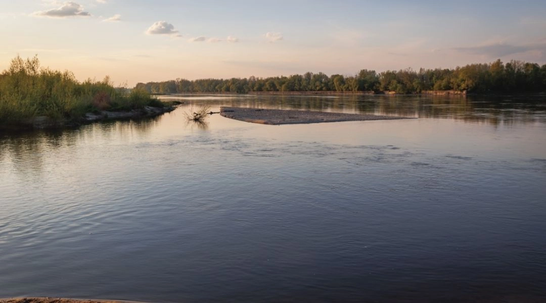 Naturalny brzeg Wisły na Zawadach z piaszczystą łachą, spokojną wodą i nadwiślańską roślinnością.
