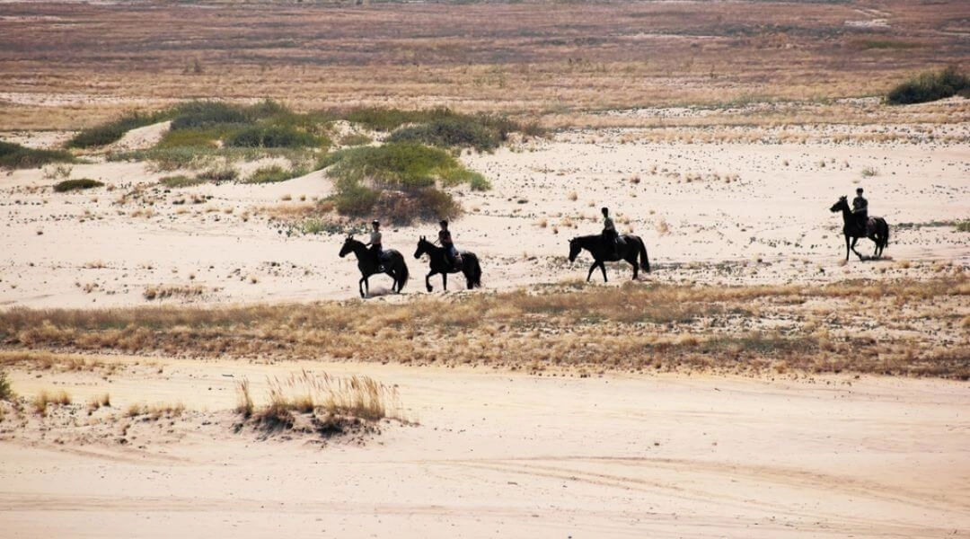 Pustynia Błędowska polska Sahara