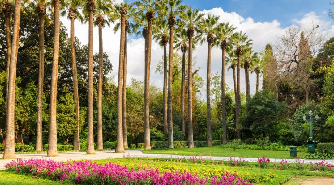 Ogród Botaniczny Diomidousa, Ateny
