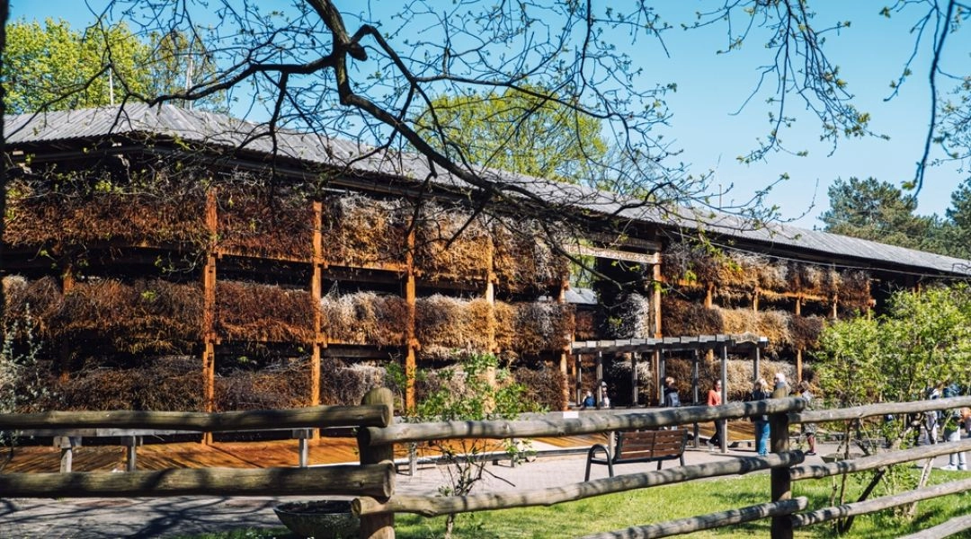 Tężnia solankowa w Konstancinie-Jeziornie w wiosennym otoczeniu