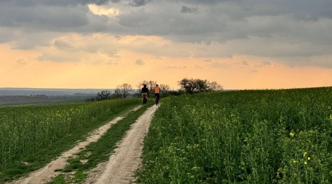 Polna droga w regionie Záhorie na Słowacji, prowadząca przez zielone pola pod wieczornym niebem.