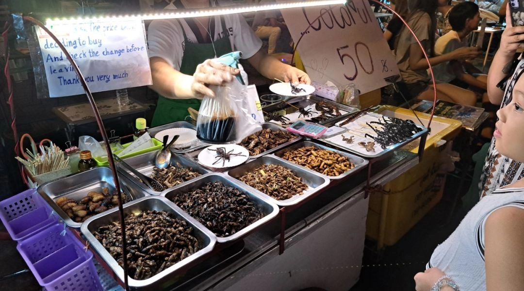 Owady na tajskim targu nocnym, lokalne jedzenie i kuchnia regionalna Tajlandii.