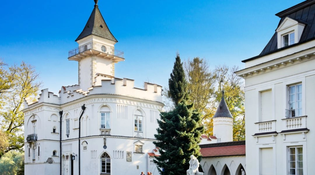 Pałac w Radziejowicach