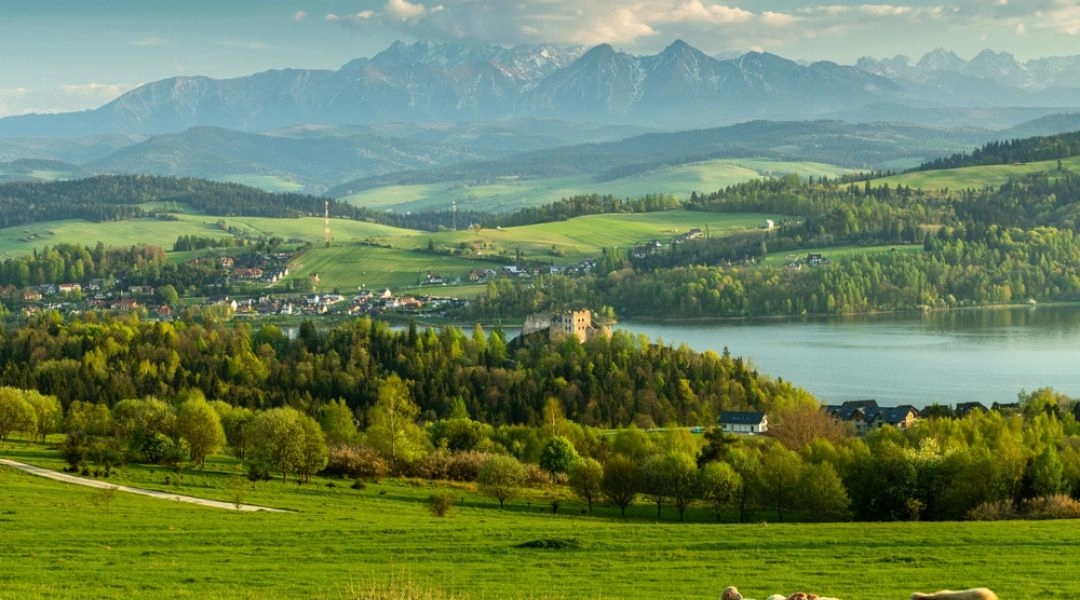 Owczary