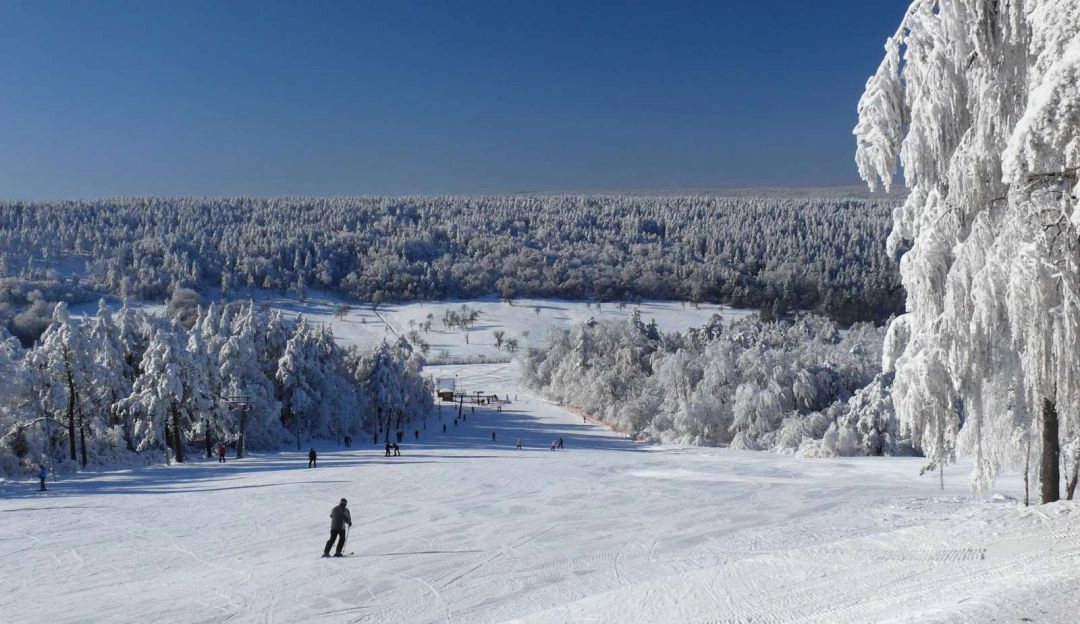 gdzie na narty bieszczady arlamow