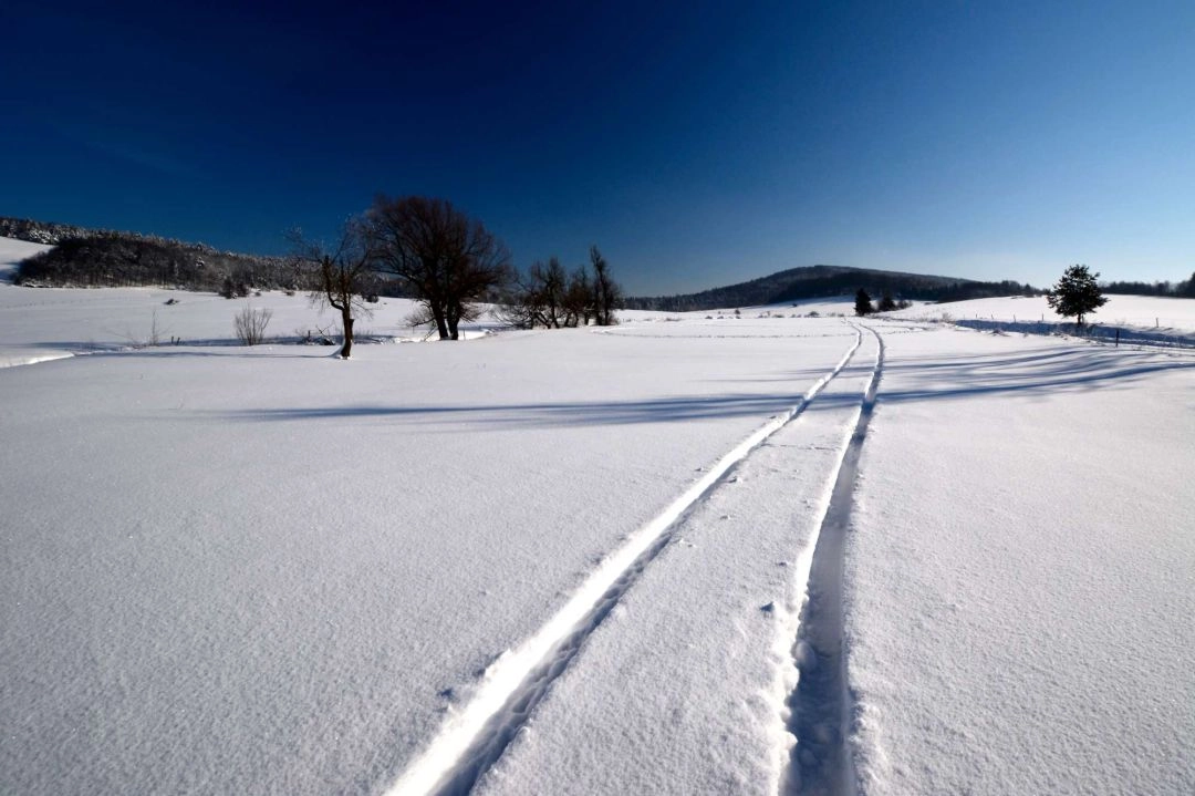 gdzie na narty beskid niski